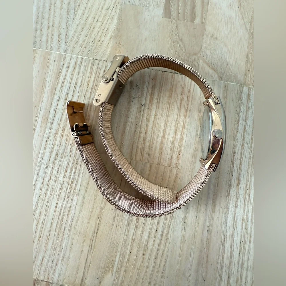 Skagen brand model